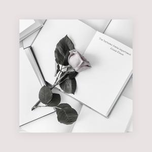 在线观看福利片
